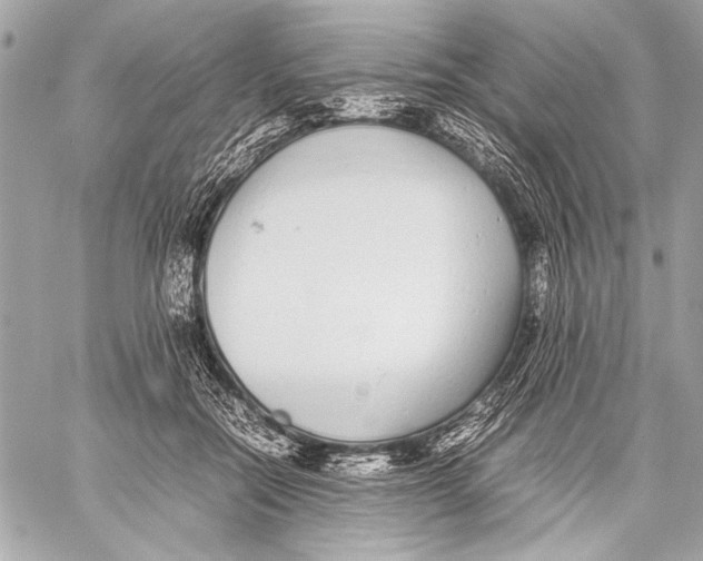 X0000057060554200510071409