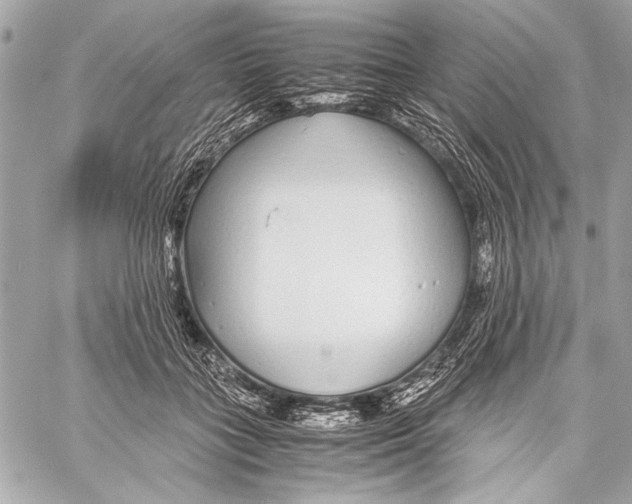 X0000057060555200510071409