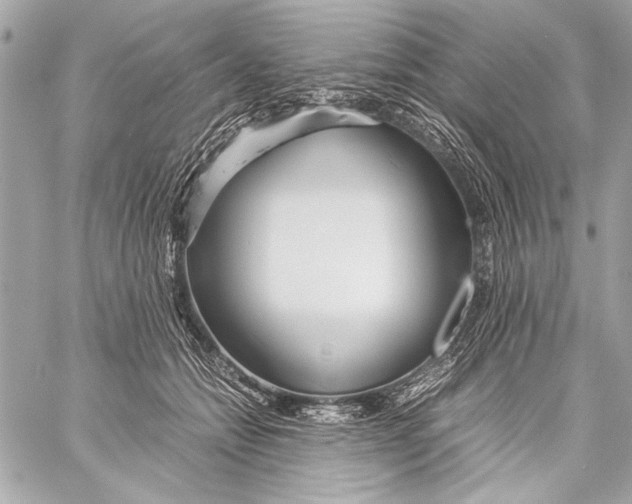 X0000057060558200510071409