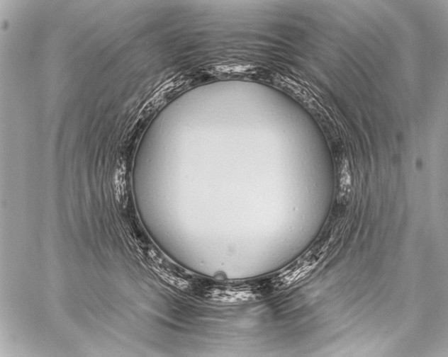 X0000057060559200510071409