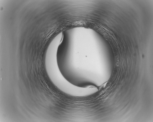 X0000057060560200510071409