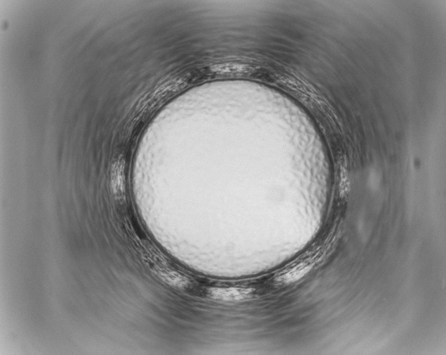 X0000057060561200510071409