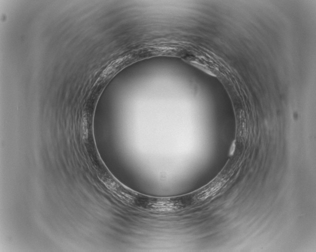 X0000057060562200510071409