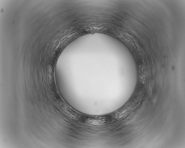 X0000057060563200510071409