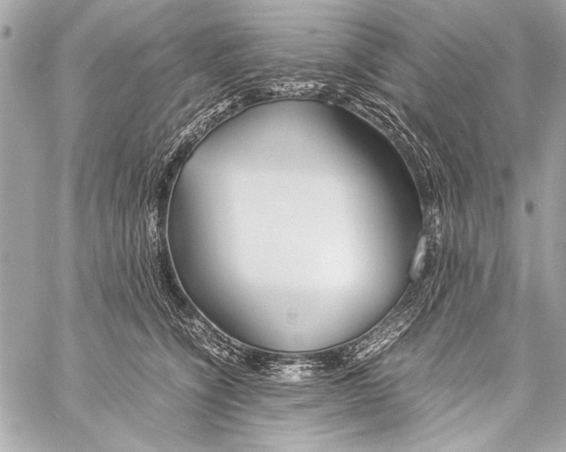 X0000057060564200510071409