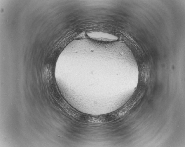 X0000057060565200510071409