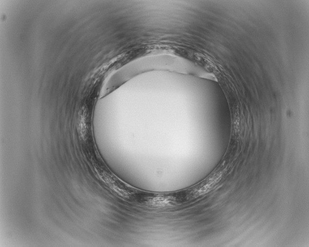 X0000057060566200510071409