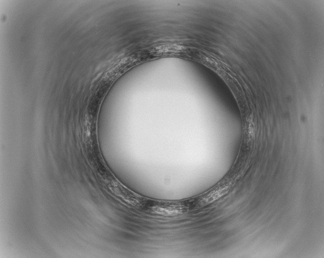 X0000057060567200510071409