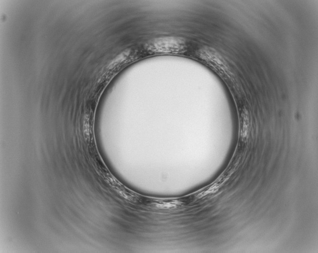 X0000057060569200510071409