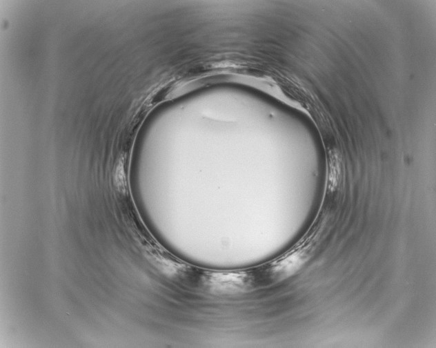 X0000057060573200510071410