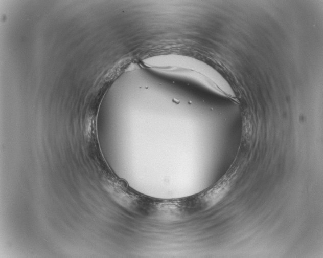 X0000057060574200510071410