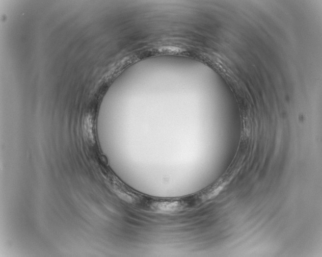 X0000057060575200510071410