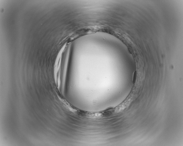 X0000057060576200510071410