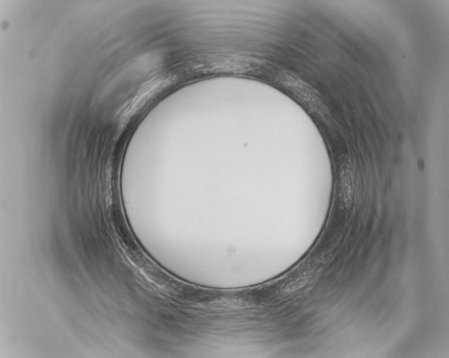 X0000057060578200510071409