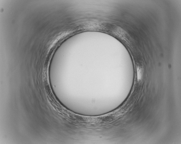 X0000057060579200510071409