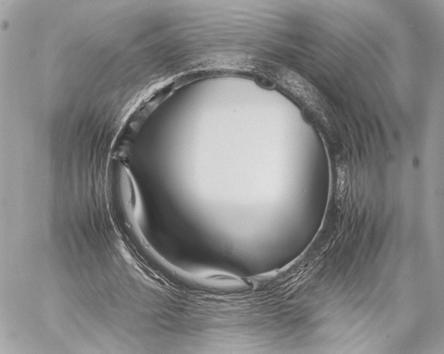 X0000057060580200510071409