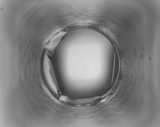 X0000057060581200510071409