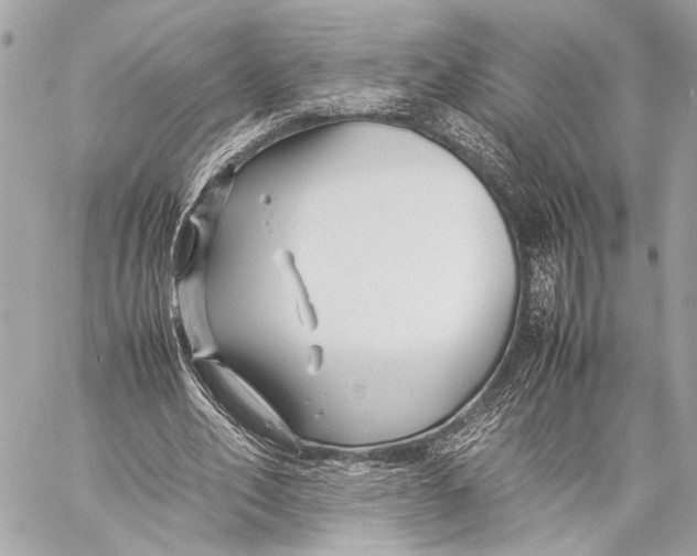 X0000057060582200510071409