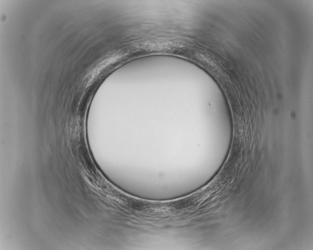 X0000057060583200510071409