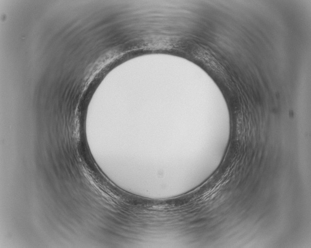 X0000057060584200510071409