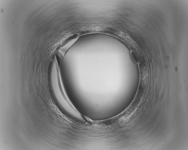 X0000057060585200510071409