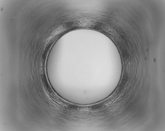 X0000057060587200510071409