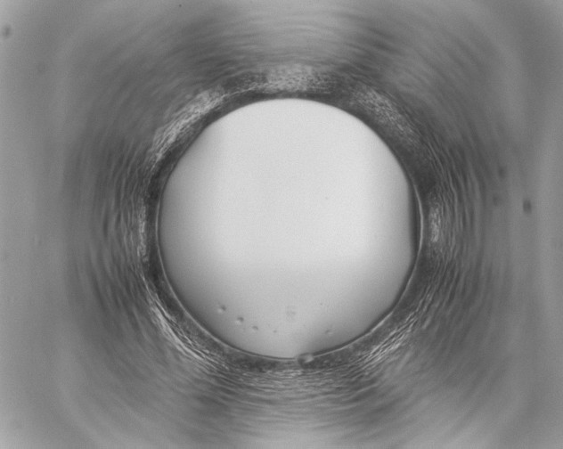 X0000057060588200510071409