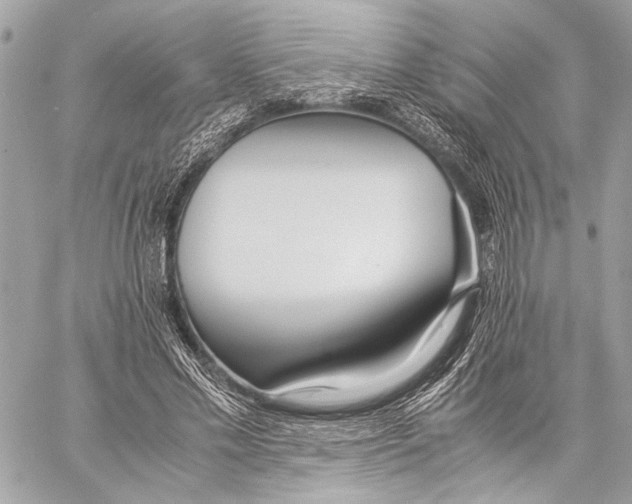 X0000057060589200510071409