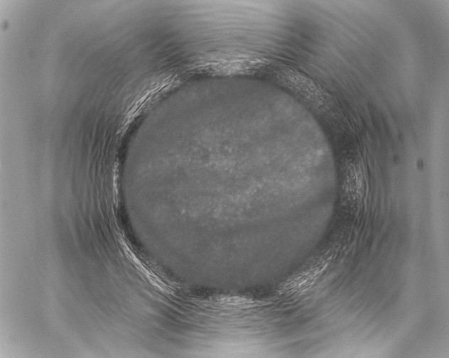 X0000057060590200510071409