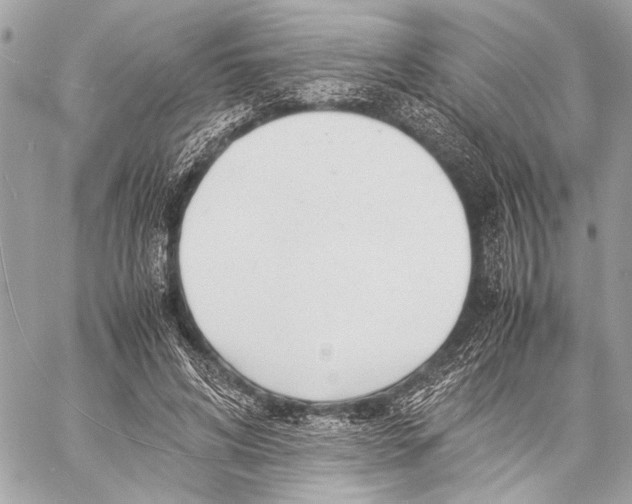 X0000057060592200510071408