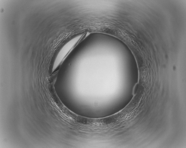 X0000057060593200510071408