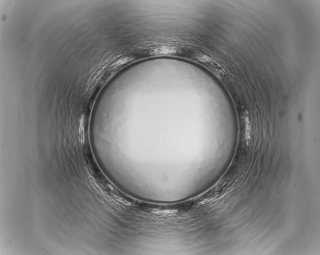 X0000057060594200510071408