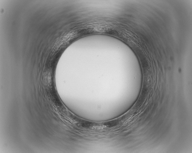 X0000057060595200510071408