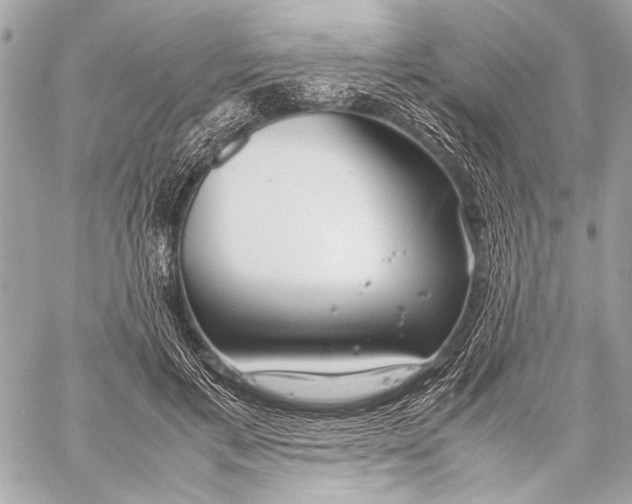 X0000057060597200510071408