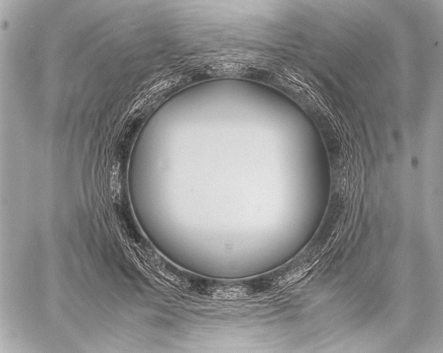 X0000057060599200510071408