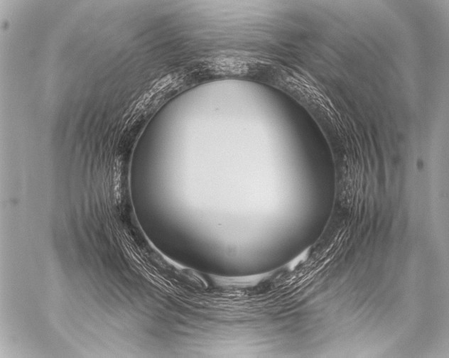 X0000057060600200510071408