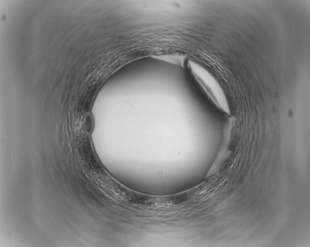 X0000057060601200510071408