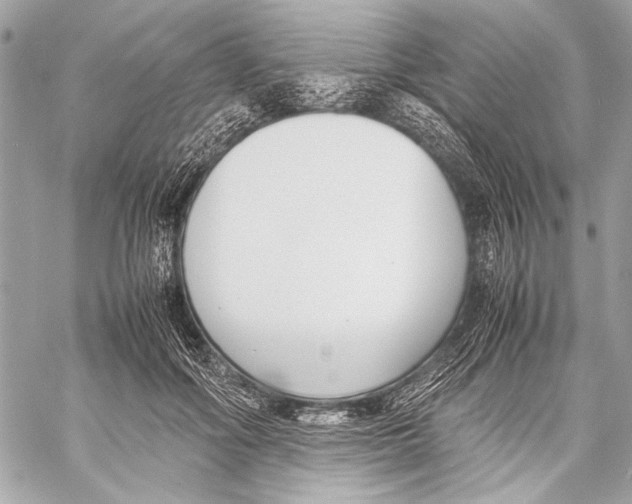 X0000057060602200510071408