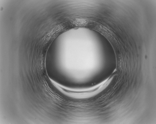 X0000057060604200510071408