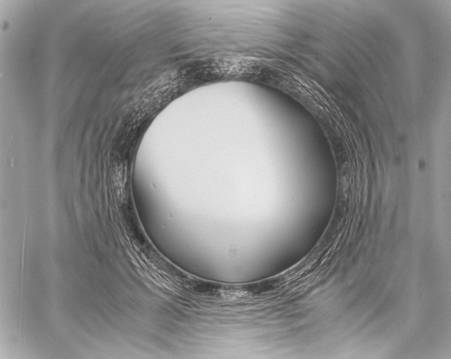 X0000057060605200510071408