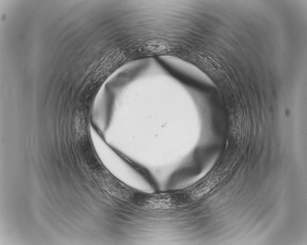 X0000057060606200510071408