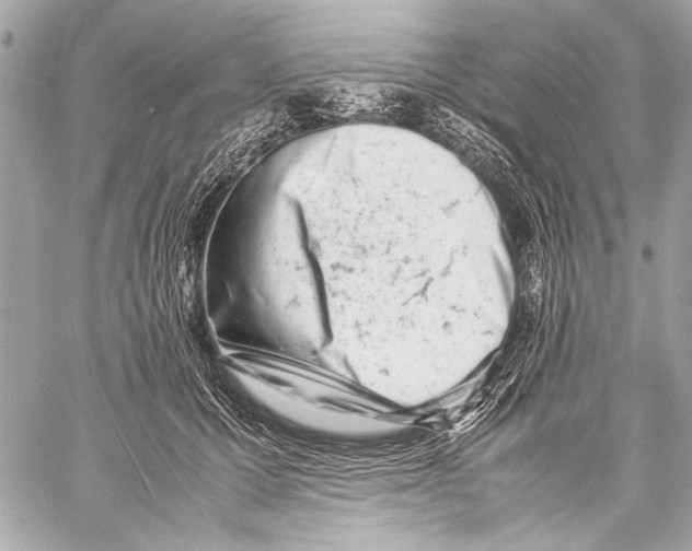 X0000057060607200510071408