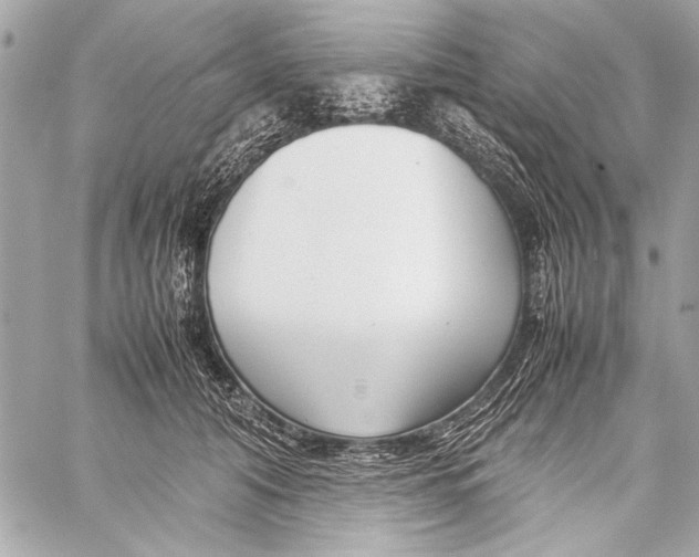 X0000057060608200510071408