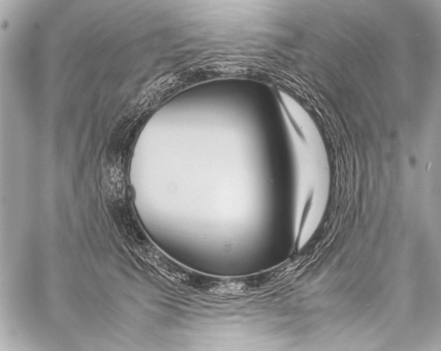 X0000057060609200510071408