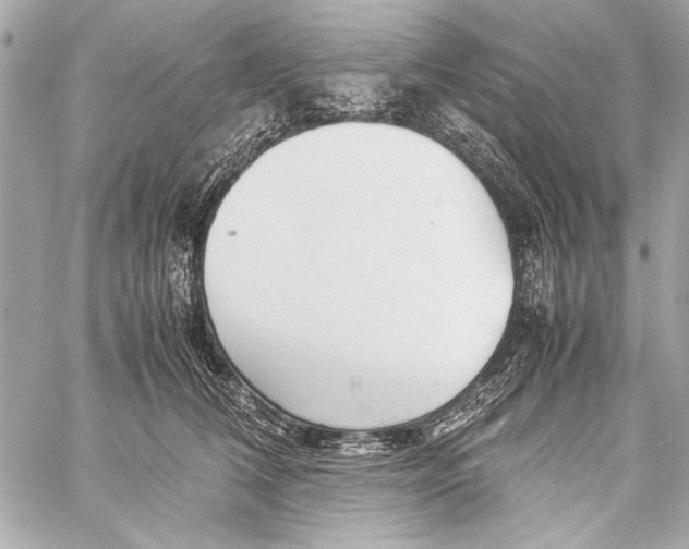 X0000057060612200510071408