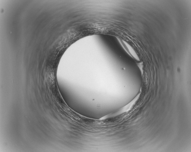 X0000057060613200510071408