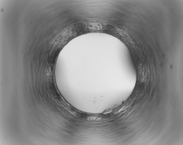 X0000057060614200510071408