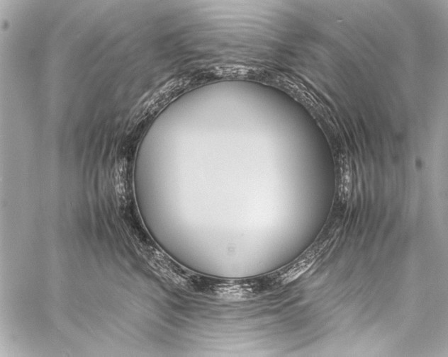 X0000057060616200510071408