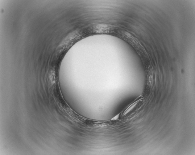 X0000057060620200510071408