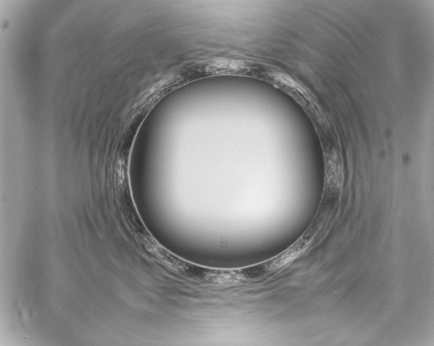 X0000057060621200510071408